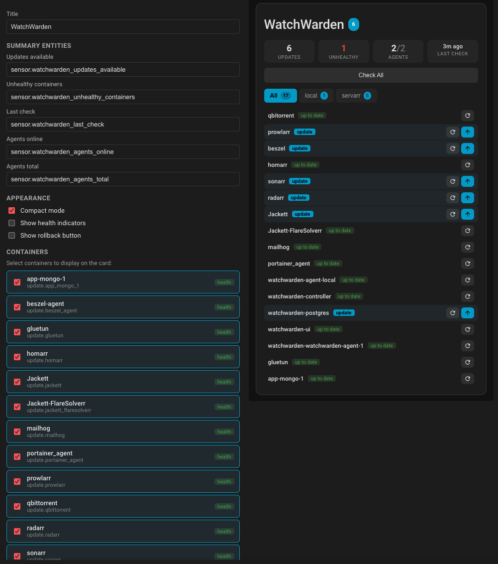 Visual config editor